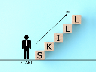 Internship Programme